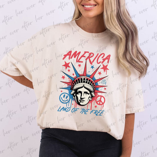 America Liberty Graffiti