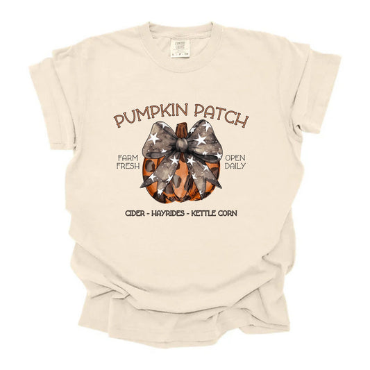 Pumpkin Patch Star Bow Pumpkin