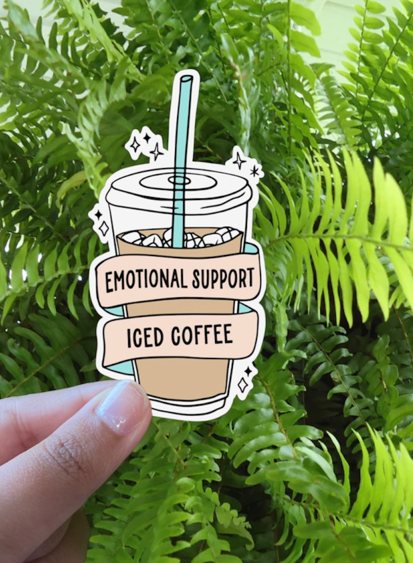 Emotional support